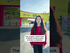 Projectcase Shunde Bruce Lee