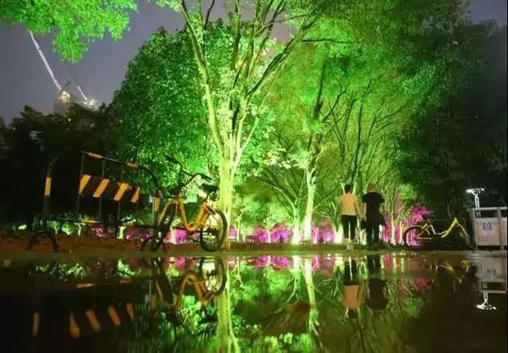 DMX512 RGBW 36W boom LED overstromingslicht LED tuinlamp voor landschapsprojectie