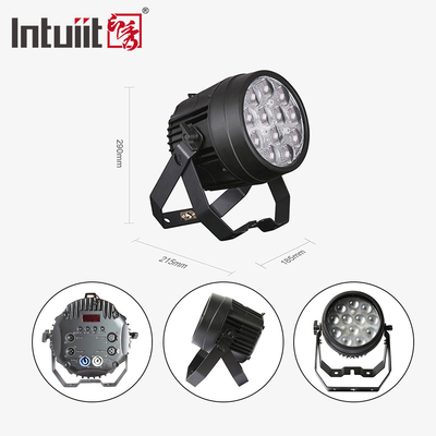 12x10W krachtige disco lichten DMX 512 geluid geactiveerd LED Par Can stage lichten