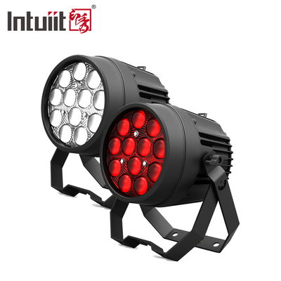 12x10W krachtige disco lichten DMX 512 geluid geactiveerd LED Par Can stage lichten
