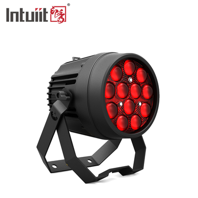 12x10W krachtige disco lichten DMX 512 geluid geactiveerd LED Par Can stage lichten