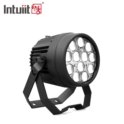 12x10W krachtige disco lichten DMX 512 geluid geactiveerd LED Par Can stage lichten