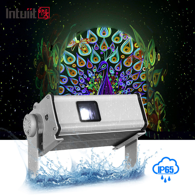 Openlucht Decoratieve Glimwormeffect Projector