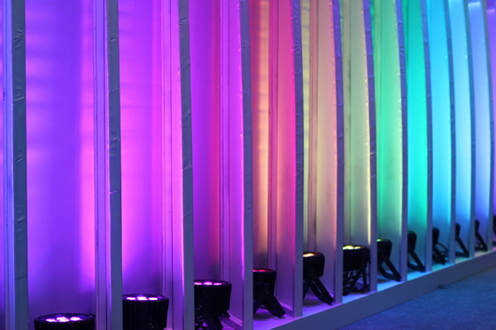 Mini waslamp DMX 12X3W rgbw disco verlichting led par kan podium lichten voor dj disco feest