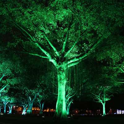 IP65 6W Outdoor Aluminiumin Waterdicht Led Spike Tree Flood Light aanpassen Spotlight Tuin Landschapsverlichting