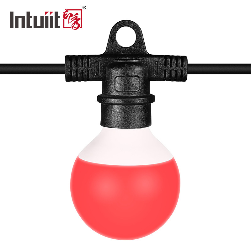 6500K Kerstmis van het LEIDENE van de Bolbistro Verlichtings RGB Huwelijk Geleid het Koordlicht Decoratie