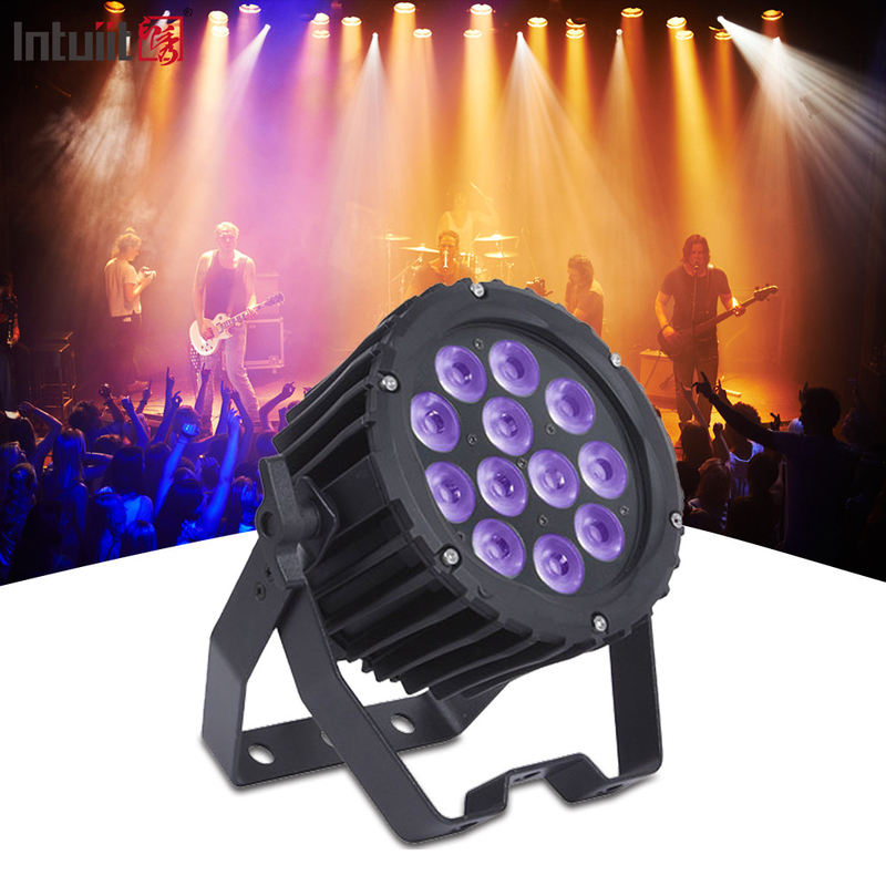 Indoor 4-in-1 LED Mini Par Can Light 12x3w RGB Par Light Feesten Hotels