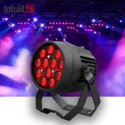 Professionele Aluminium Stage Light 12x10W 4IN1 LED Par Voor Dj Party Club Stage Lighting
