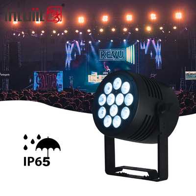 12x20W LED Par Light IP65 Waterdicht RGBWA-UV 6IN1 DMX512 Stage Lighting