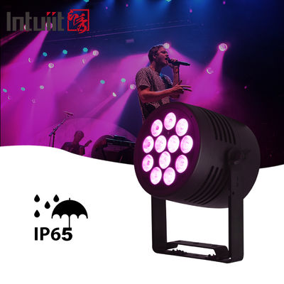 IP65 Buiten LED 12x20w RGBWA-UV 6in1 Evenement DJ Wash DMX 512 Waterdichte LED Par Light