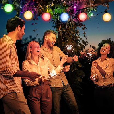 Van de LEIDENE van IP54 1x1.8W 5050 van de de Boomdecoratie Koordrgbw dmx de Slimme Kleur Veranderende Lichten van de Lampkerstmis